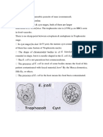 E.coli: E. Histolytica Is Cigarette