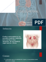 reflujo versículo ureteral 