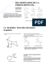 Alcaloides Pirrodiñinicos Derivados de La Ornitina