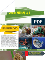 3ro Prim - TEMA 4 - Reino Animalia II PDF