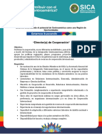 Director(a) de Cooperacion.pdf