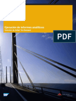 Ejecución de Informes Analíticos PDF