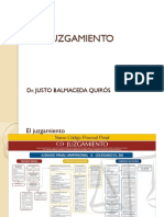 Litigacion Oral PDF