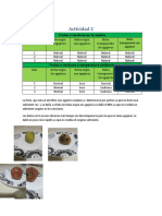 Actividad de Aprendizaje 2