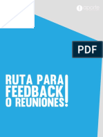 Ruta Del Feedback PDF