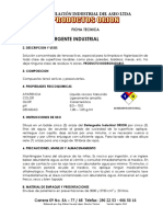 FT Deterghente Industrial PDF