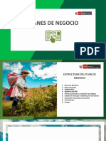 Modelo de PNT VF PDF