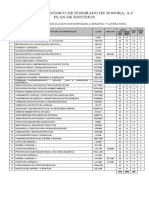 Plan Estudios Espanol Literatura IPPSON