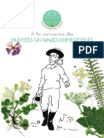 À-la-rencontre-des-plantes-sauvages-comestibles-_Connected-by-Nature.pdf