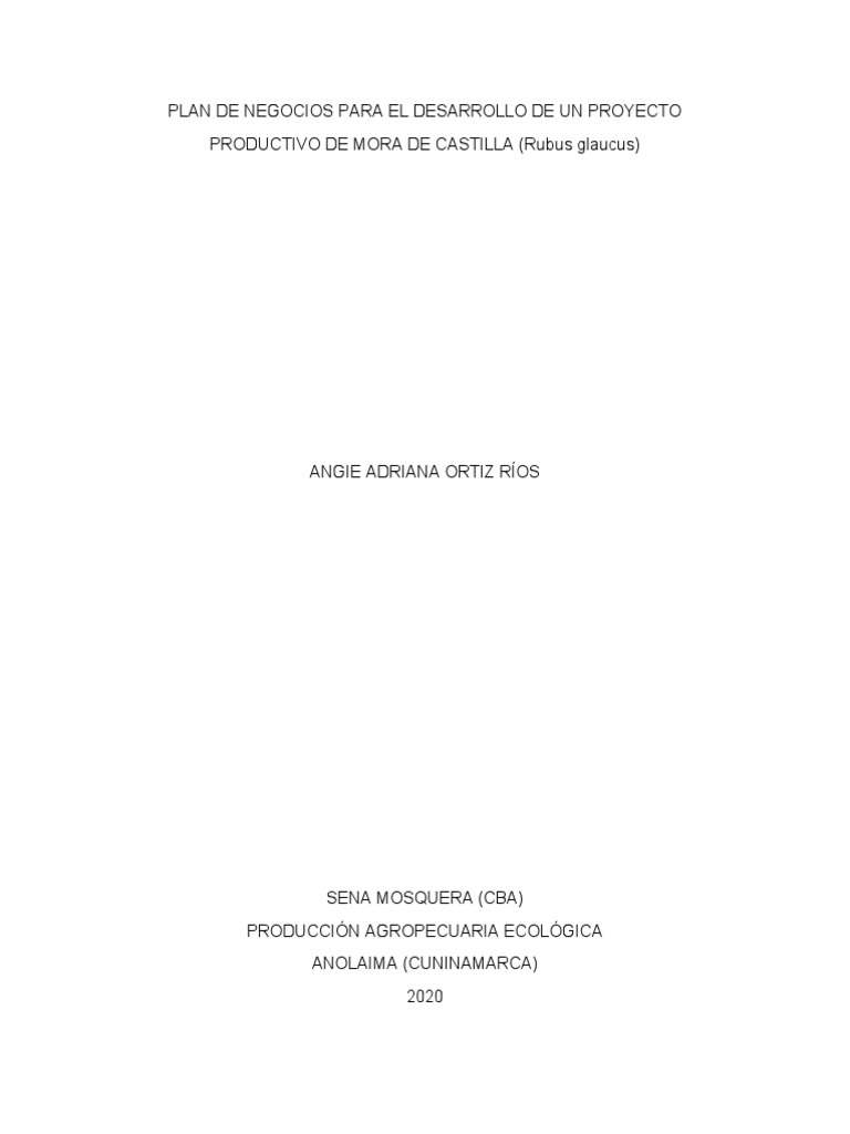 Plan de Negocios para El Desarrollo de Un Proyecto | PDF | Mora | Riego