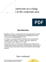 Dog Heartworm As A Rising Problem in The Corporate Area