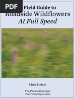 A Field Guide To Roadside Wildflowers at Full Speed - January2020 1