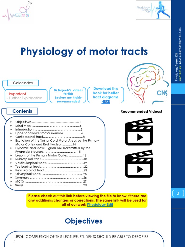 Physiology of Motor Tracts | PDF | Motor Neuron | Spinal Cord