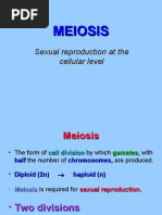 MEIOSIS Rev2