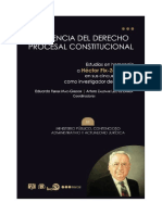 22.- La Ciencia del Derecho Procesal Constitucional - Tomo 12 - Ministerio Público, Contencioso, 
