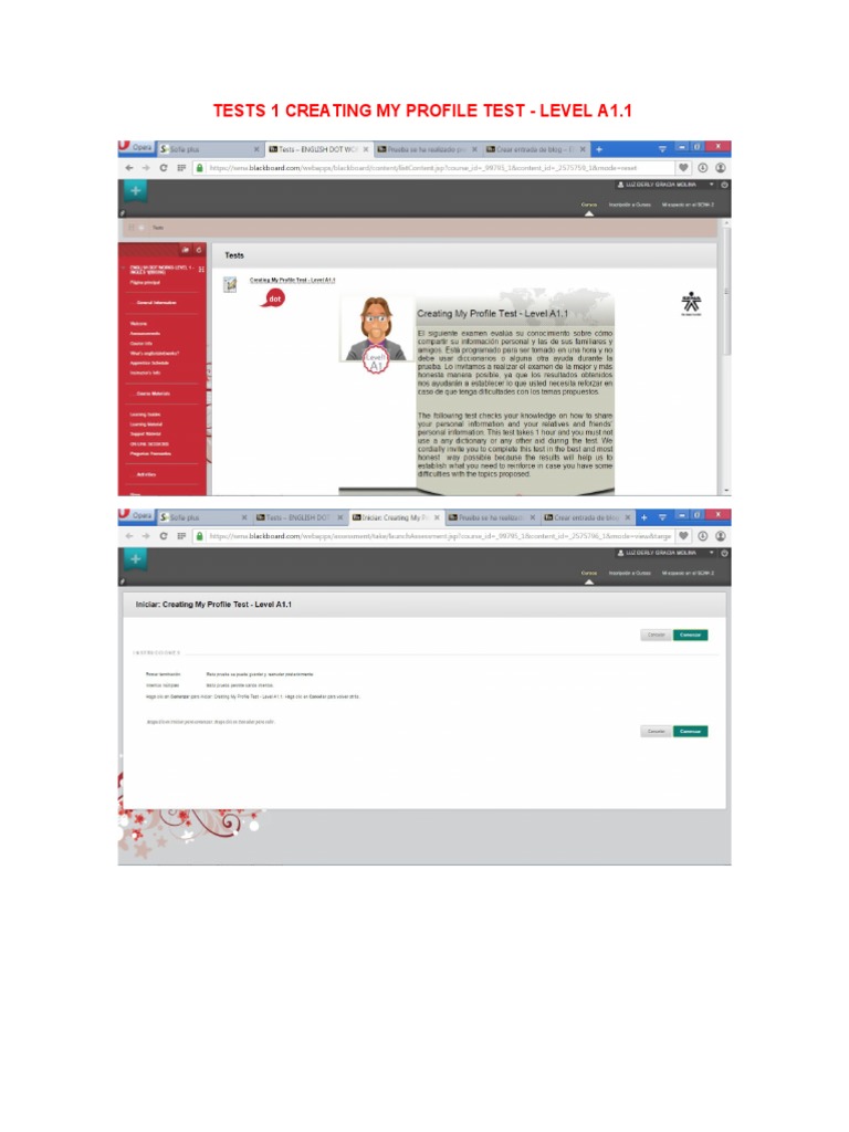 A1.1 Profile Creation Test | PDF