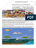 Ciclos Biogeoquímicos