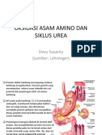 Oksidasi Asam Amino dan Siklus Urea