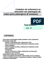 1 Discapacidad Intelectual TERE 17