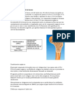 Composición Química de Los Huesos