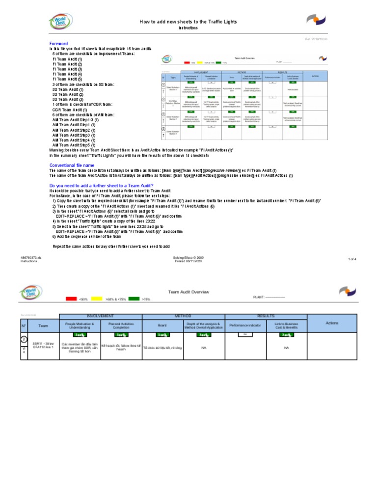 Traffic Light - SSR&BDR Audit Form - SSR11 | PDF | Vietnam | Business