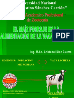 Maiz Forraje en La Alimentacion de Vaca