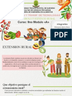 EXTENSION RURAL Y DESARROLLO.pptx