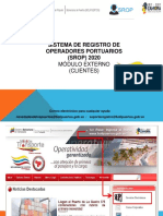 Manual Externo PDF