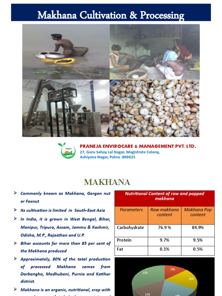 Makhana Cultivation & Processing | PDF | Capital (Economics) | Foods