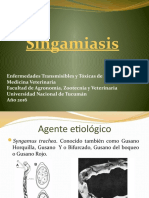 295361468.Singamiasis 2016