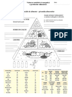 Piramida Alimentelor - Cls 5