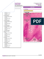 Oral Cavity and Salivary Glands