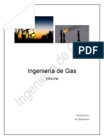 Informe Ing. de Gas