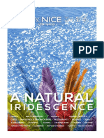 Nice Irisee - ENG2 - HD - 0318