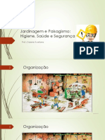 Aula 1 - Higiene, Saúde e Segurança - Introdução - Jardinagem e Paisagismo - Qualifiacação - 03fev2015 PDF