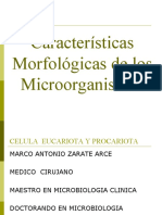 Características Morfológicas de Los Microorganismos