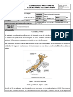 guía_para_prácticas_de_laboratorio_autotronica_Catalizadores_avanzado_electude