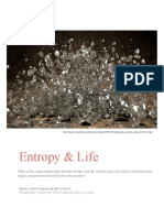 EntropyandLife (Final) PDF