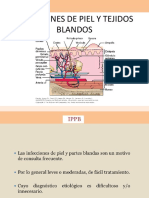 INFECCIONES DE PIEL Y TEJIDOS BLANDOS 27 08 19.pdf