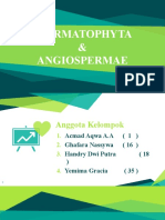 Angiospermae - Biologi.pptx