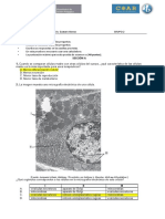 Prueba II Biologia COAR