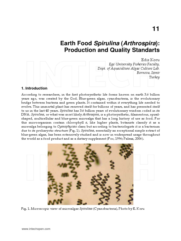 Spirulina PDF Cyanobacteria Biology