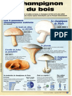 Infographie Carrefour - Le Champignon Sort Du Bois