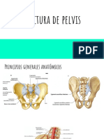 Fractura de Pelvis Expo