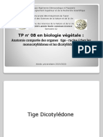 TP 10 Et 11 Anatomie - Comparée - Des - Organes PDF