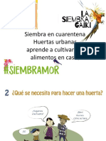 SiembraenCuarentena1 PlandeHuerta