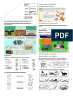 Guia #3 de Naturales Iii Periodo PDF