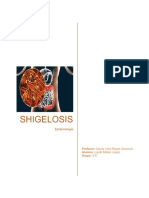 Shigelosis 