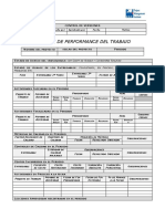 E27 Formato Informe Performance Trabajo