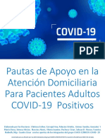 Pautas de Apoyo en La Atención Domiciliaria para Pacientes Adultos COVID 19 Positivos